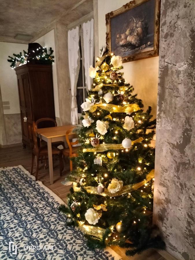 B&B Sasso Di Rocca Gaggio Montano 외부 사진